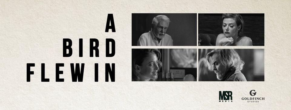 New Trailer for A Bird Flew In shot on one of our TFS stages